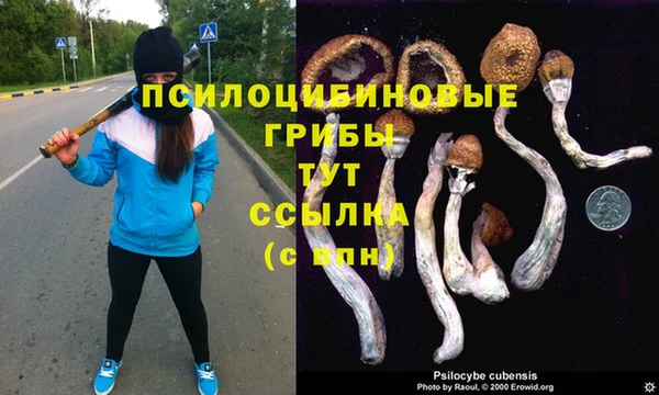 jwh Абаза